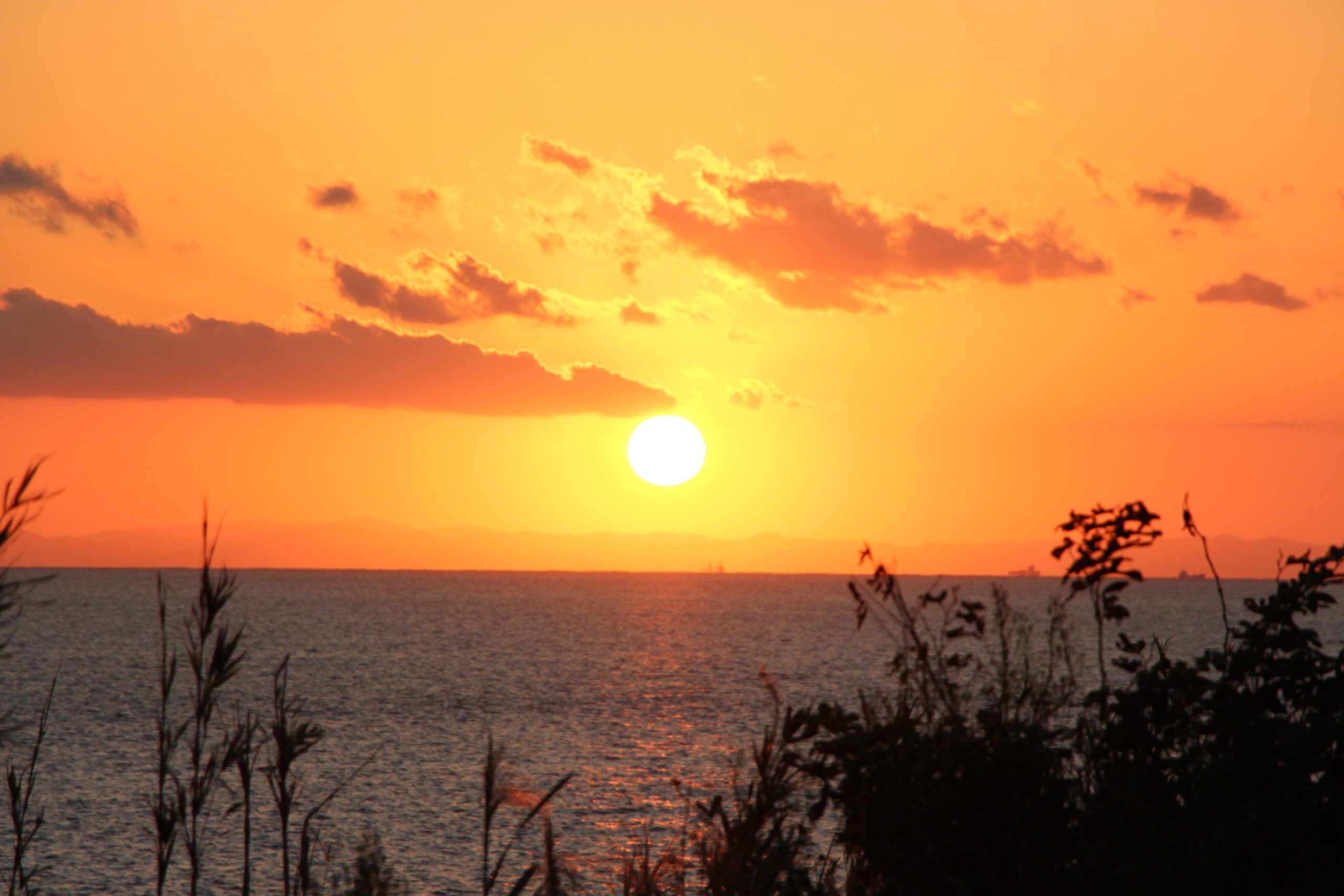 大房岬自然公園 南芝生園地