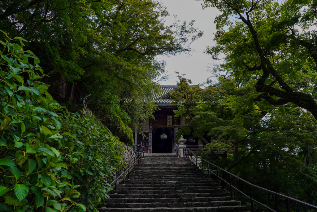 奈良県桜井市の長谷寺