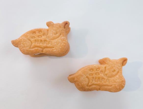 奈良のお菓子屋「シカオト」