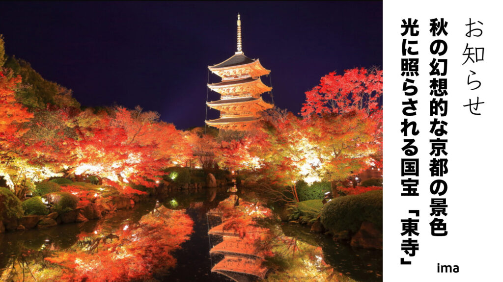 秋の京都東寺