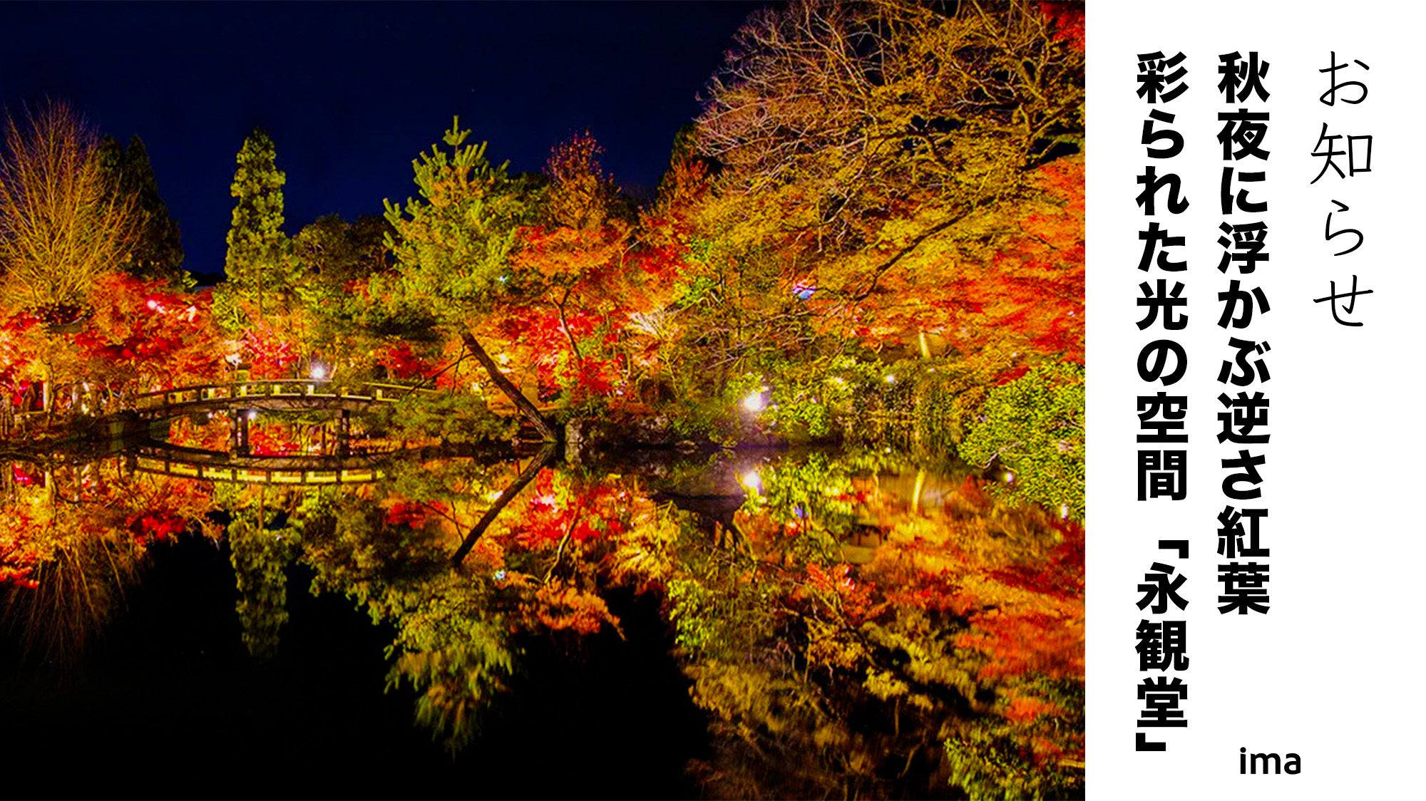 永観堂夜間拝観
