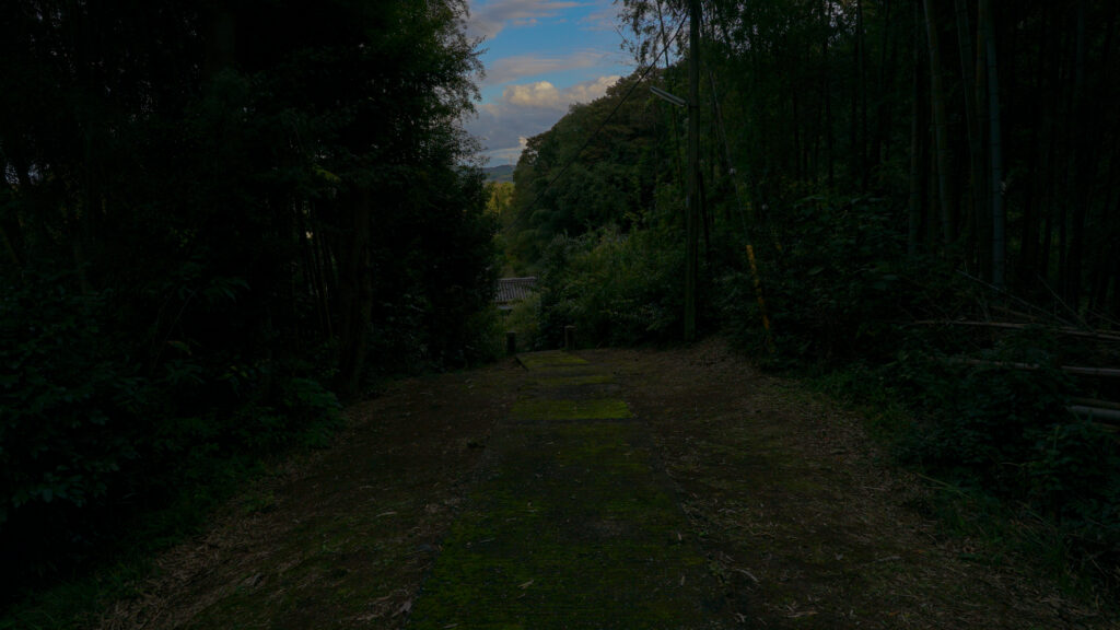 千葉市原市日光寺の参道