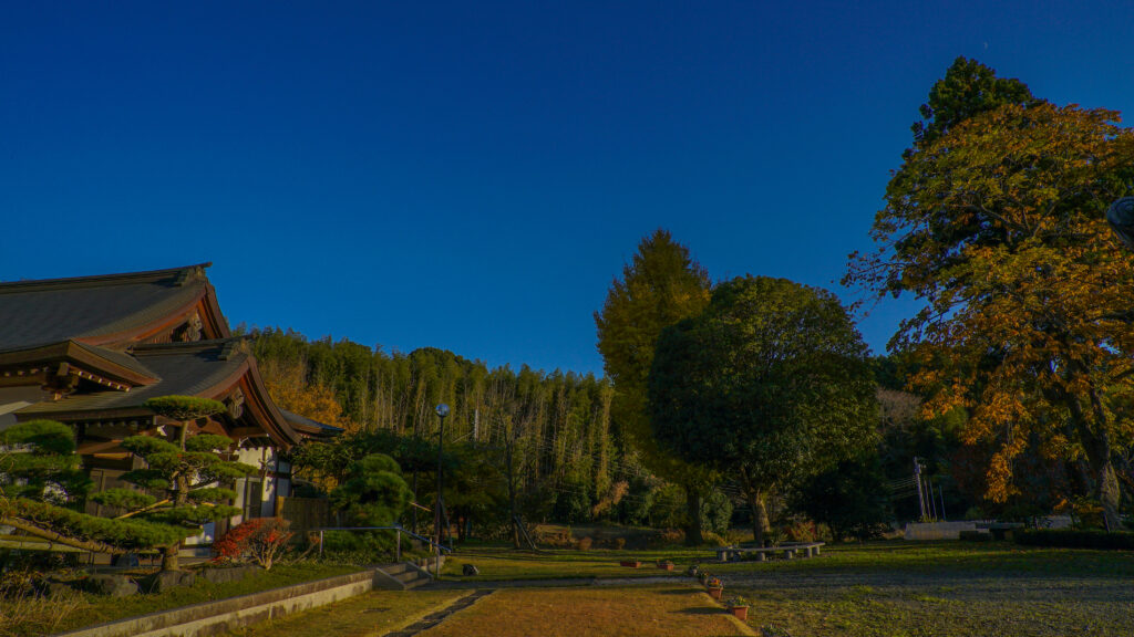 千葉県佐倉市宝金剛寺の美しい庭園