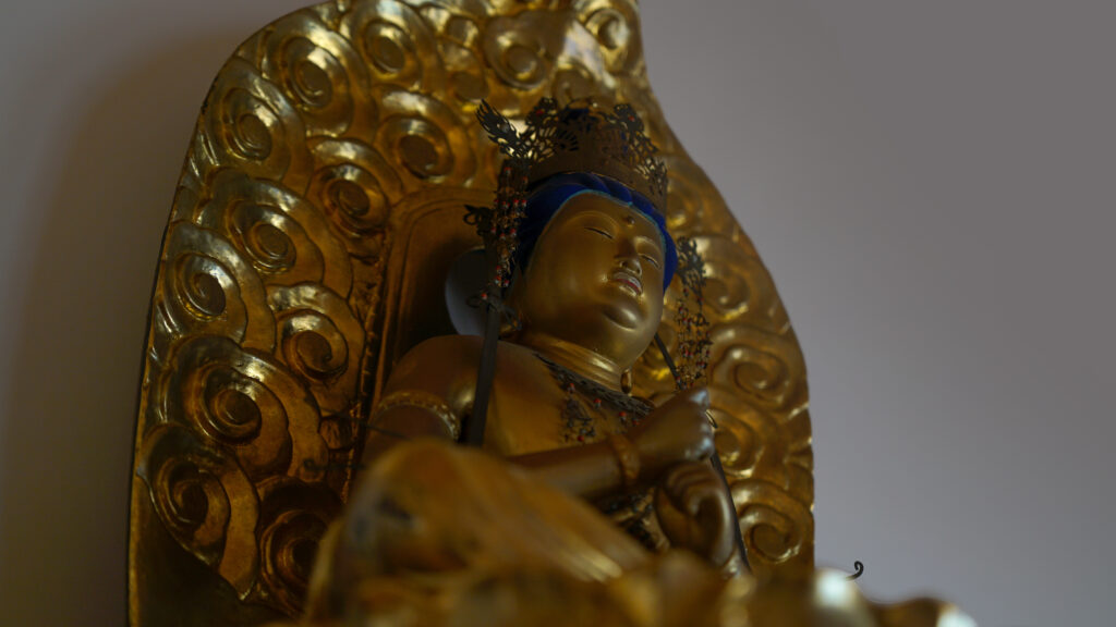 千葉県市原市の無量寿寺の大日如来