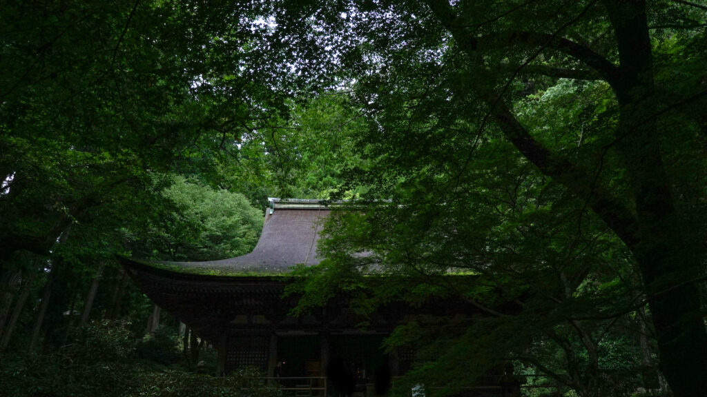 ima「かたる」第2話お念土師・大久保汰佳、室生寺金堂