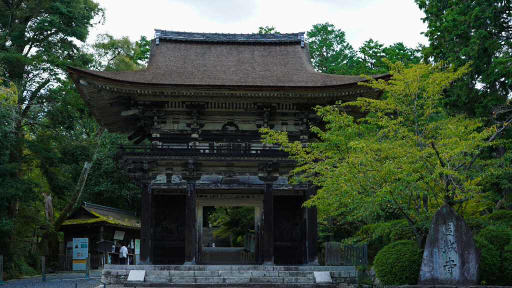 4月25日(土)～5月17日(日) 三井寺 （滋賀県）