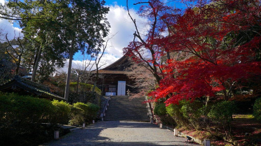 ima「かたる」第4話お念土師・大久保汰佳と三井寺